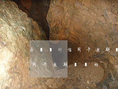 各種銀行信用卡逾期沒錢還怎么辦(有沒有信用卡逾期沒還的)