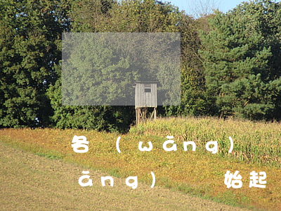 各網(wǎng)貸開始起訴了嗎(各網(wǎng)貸開始起訴了嗎)