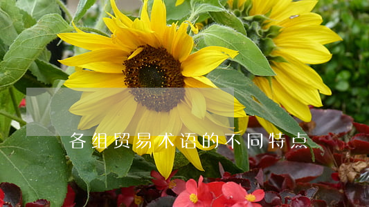 各组贸易术语的不同特点