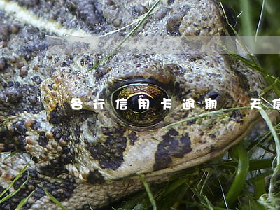 各行信用卡逾期幾天(信用卡 逾期多久)
