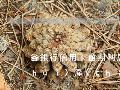 各銀行信用卡逾期利息（信用卡逾期不還會(huì)產(chǎn)生利息嗎）