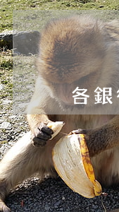 各銀行信用卡逾期利息（信用卡逾期扣利息）