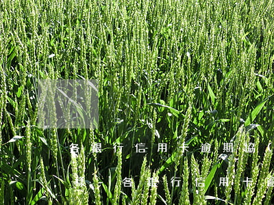 各銀行信用卡逾期協(xié)商政策不一樣-各銀行信用卡逾期協(xié)商政策不一樣怎么辦
