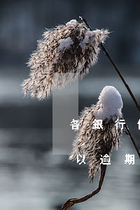 各銀行信用卡逾期寬限日(銀行信用卡最多可以逾期多久)