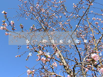 各銀行信用卡逾期總數(shù)(各銀行信用卡逾期總數(shù))