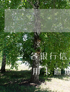 各银行信用卡逾期多久上征信系统（各银行信用卡逾期多久上征信）