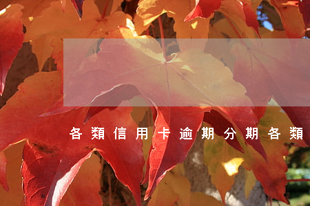 各類信用卡逾期分期(各類信用卡逾期分期)