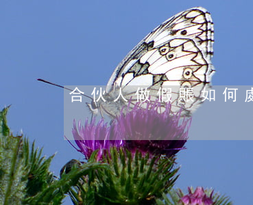 合伙人做假賬如何處罰