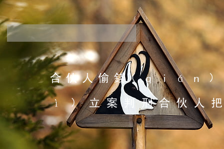 合伙人偷錢(qián)多少可以會(huì)立案判刑(合伙人把設(shè)備偷走違法嗎)
