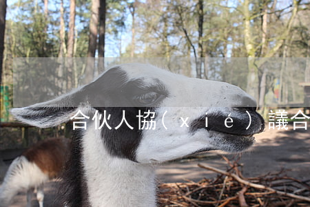 合伙人協(xié)議合同范本