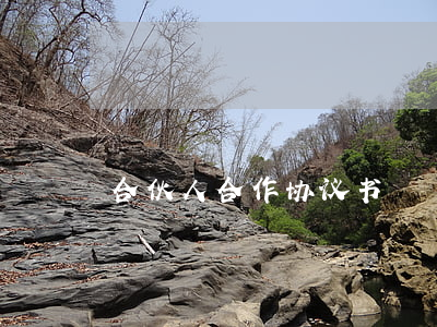 合伙人合作协议书