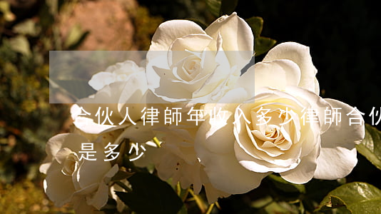 合伙人律師年收入多少(律師合伙人年薪大概是多少)