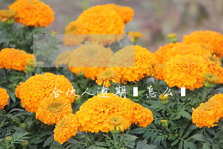 合伙人逾期會怎么樣