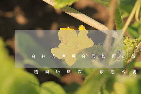 合伙人違反合同如何起訴(合伙協(xié)議糾紛法院一般怎么處理)