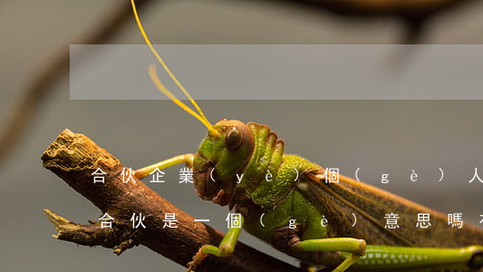 合伙企業(yè),個(gè)人合伙和法人合伙是一個(gè)意思嗎,有什么區(qū)別
