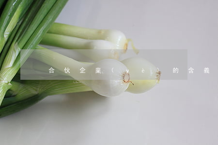 合伙企業(yè)的含義及種類有哪些