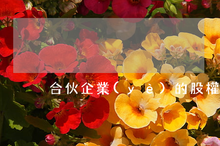 合伙企業(yè)的股權如何確認