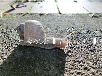 合伙企業(yè)變更流程是怎樣的