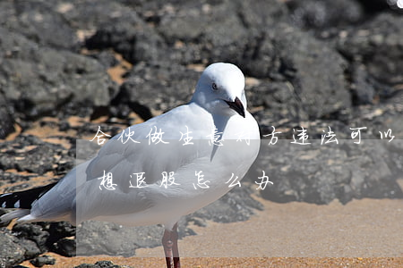 合伙做生意对方违法可以退股吗(合伙开公司想退股怎么办)