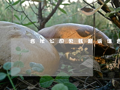 合伙公司欠钱起诉谁(合伙开公司债务纠纷)