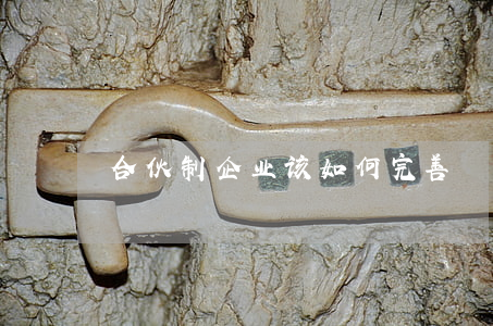 合伙制企业该如何完善