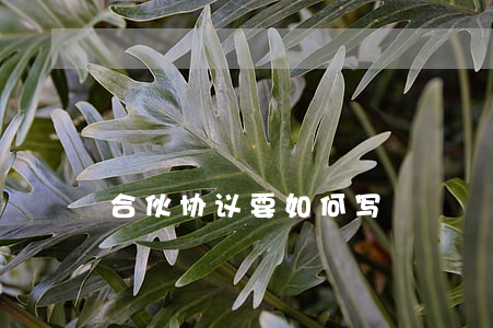合伙协议要如何写