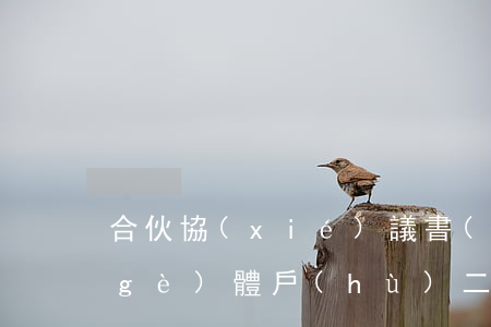 合伙協(xié)議書(shū)范本(個(gè)體戶(hù)二人合伙協(xié)議書(shū)范本)
