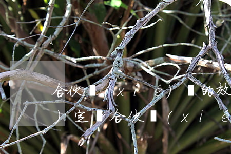 合伙協(xié)議的效力如何認(rèn)定,簽合伙協(xié)議應(yīng)注意哪些問(wèn)題