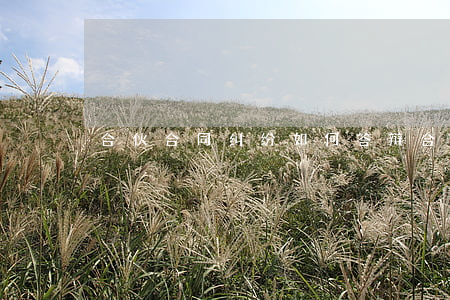 合伙合同纠纷如何答辩(合伙协议纠纷起诉状)