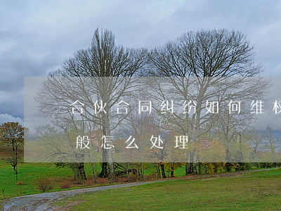 合伙合同纠纷如何维权(合伙协议纠纷法院一般怎么处理)