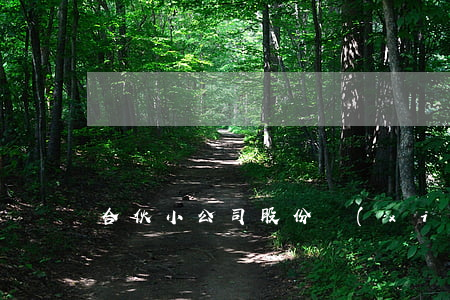 合伙小公司股份協(xié)議要如何訂立