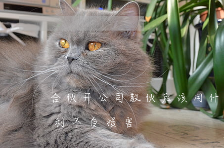 合伙开公司散伙后该用什么方法保证自己权利不受损害