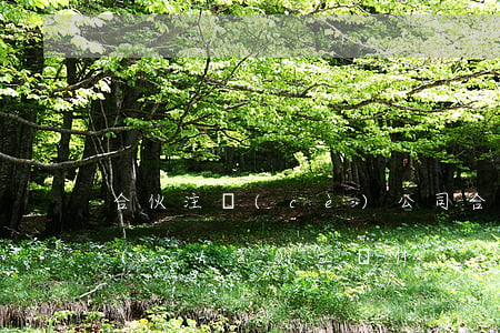 合伙注冊(cè)公司(合伙企業(yè)設(shè)立條件)