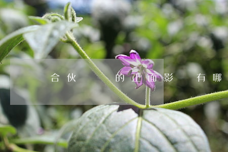 合伙糾紛的正面影響有哪些