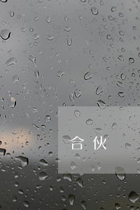 合伙糾紛都有哪些可訴范圍以及相關知識