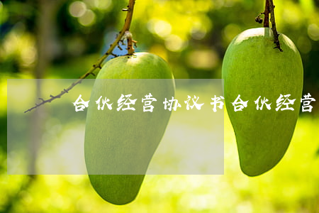 合伙经营协议书(合伙经营协议书范本(通用版))