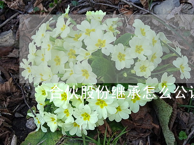 合伙股份继承怎么公证(公证合法继承人)
