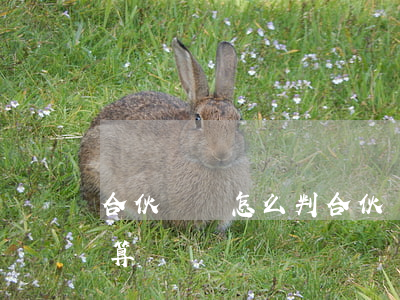 合伙詐騙怎么判(合伙經(jīng)營被騙算詐騙嗎)