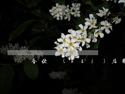 合伙開(kāi)店需要注意什么