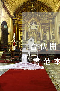 合伙開公司(合伙開公司合作協(xié)議書范本)
