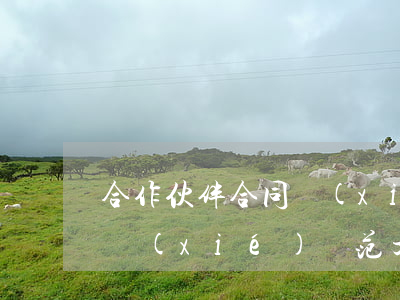 合作伙伴合同協(xié)議書怎么寫(合作協(xié)議范文怎么寫)