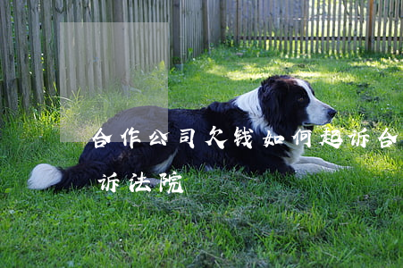 合作公司欠钱如何起诉(合作公司欠钱如何起诉法院)