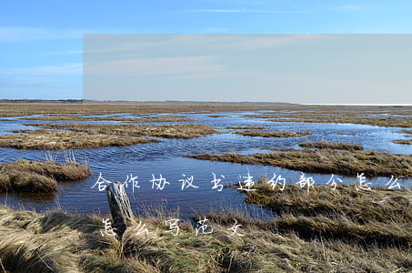 合作协议书违约部分怎么写(合作合同协议书怎么写范文)