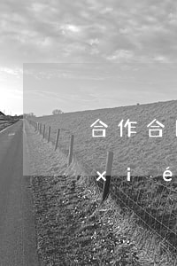 合作合同糾紛律師怎么選律所(律師合作協(xié)議)