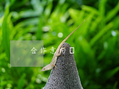 合作意向書