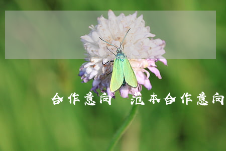 合作意向書范本(合作意向合同的范本)