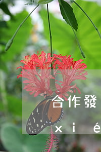 合作發(fā)行聯(lián)名卡協(xié)議書