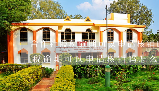 合作社报税逾期可以申请核销吗-合作社报税逾期可以申请核销吗怎么办