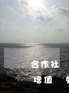 合作社減免稅法律法規(guī)(合作社增值稅免征條文規(guī)定有哪些)