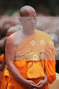 合作社無力償還貸款(合作社貸款還不上怎么辦)